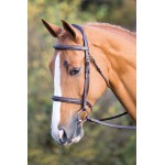 Bridon Fairford Salisbury Shires