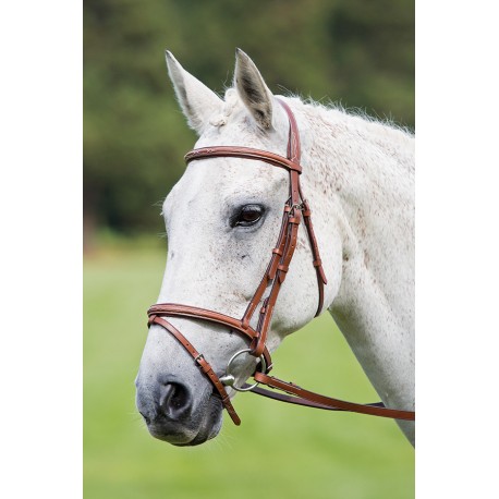 Shires Padded Flash Bridle