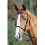 Bridon muserolle française Aviemore Shires
