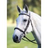 Cavesson muserolle française Avignon Shires - Noir