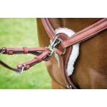 Collier de chasse 5 points Avignon Shires