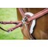 Collier de chasse 5 points Avignon Shires - Chêne