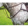 Collier de chasse 5 points Salisbury Shires - Havane