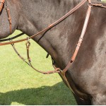 Collier de chasse Avignon Shires