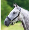 Licol en cuir Blenheim Shires - Noir