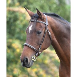 Shires Blenheim caveçon muserolle poney COB plein ** noir ou Havane **