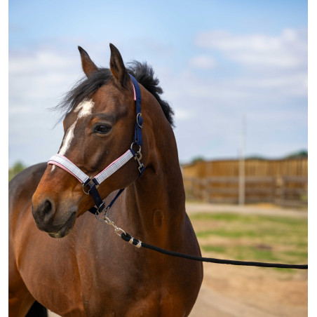 Licol Equithème Nylon Check