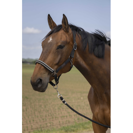 Licol Equithème Nylon Chevron