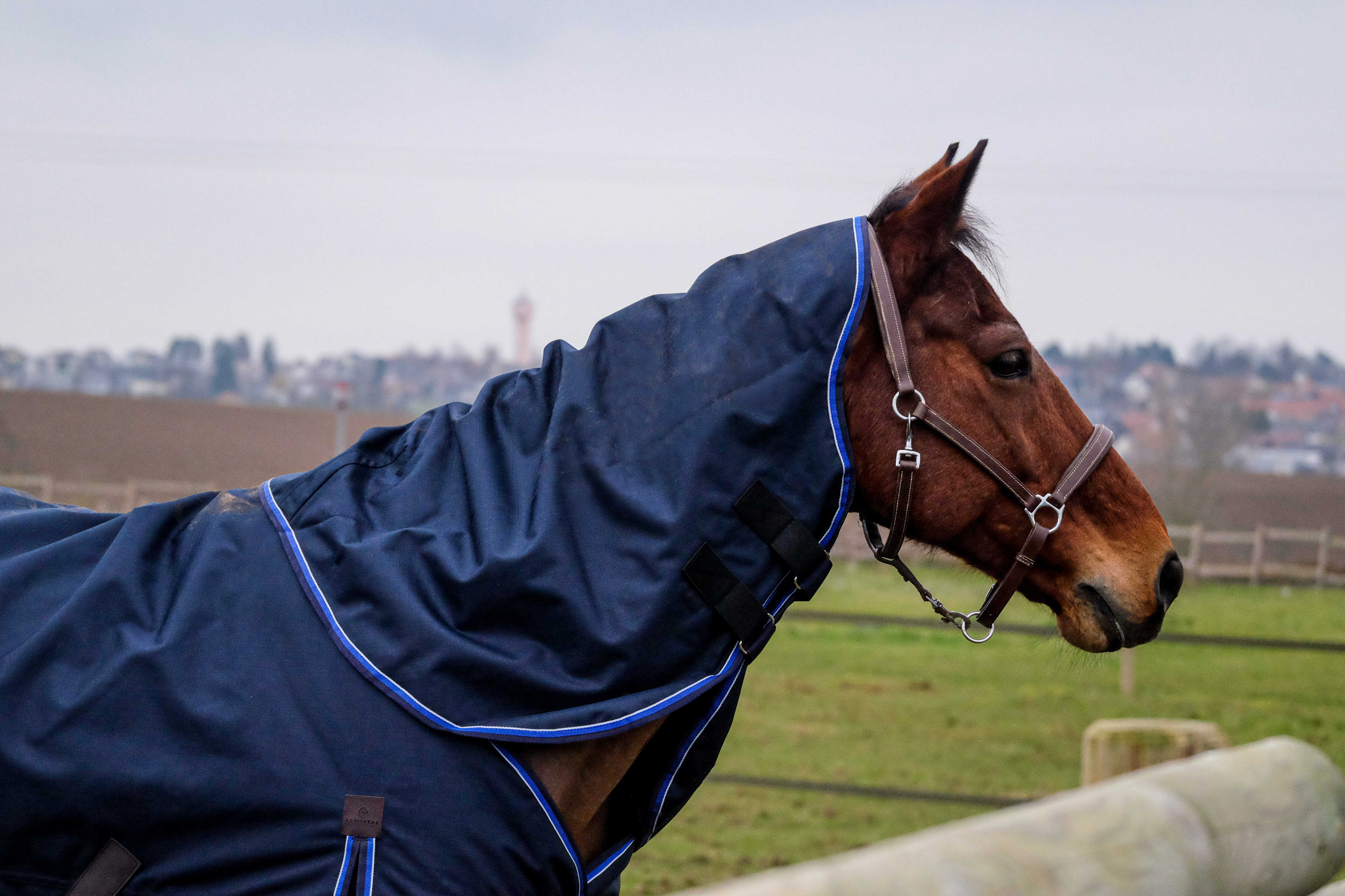 Couvre-cou Equithème Classic 1200D Bleu marine