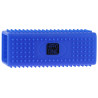 Brosse anti poils Hippotonic - Bleu