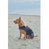 Couverture pour chien Harcour Bernie - Marine