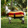 Couverture polaire Horseware Newmarket pour chèvre - Or blanc