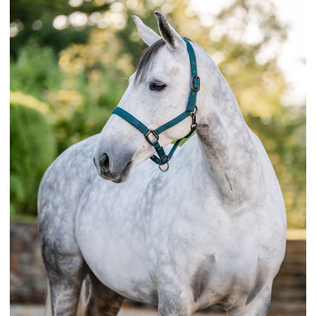 Licol et longe Horseware