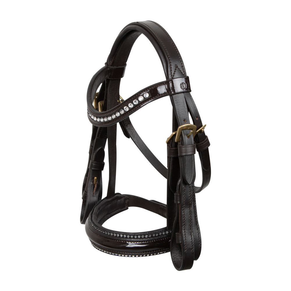 Dublin - Cravache de dressage - Cheval (65cm) (Bleu) - UTWB808 - Cravache et badine - Achat Dublin - Cravache de dressage - Cheval (65cm) (Bleu) - UTWB808 - Cravache et badine - Achat