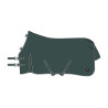Couverture de paddock Imperial Riding Basic sans couvre-cou 200gr - Vert