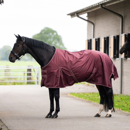 Couverture de paddock Imperial Riding Basic sans couvre-cou Fleece