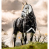 Couverture Horseware Rhino Turnout Poney Bundle avec liner 0g et 200g - Carreaux noir / noir & blanc