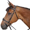 Bridon Canter ROSE GOLD - Marron