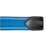 Collier chasse élastique Y Canter - Noir / bleu électrique
