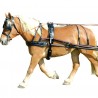 Harnais EURO Chetak - Marron