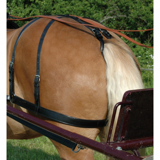 Chetak Breeching for Euro Harness