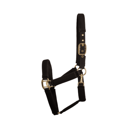 Licol 3D Mesh Kentucky