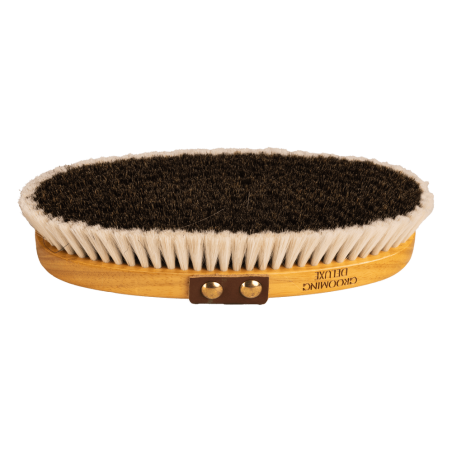 Brosse de Pansage Shine Medium Grooming Deluxe