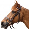 Bridon Privilege Equitation Grandville combiné - Noir