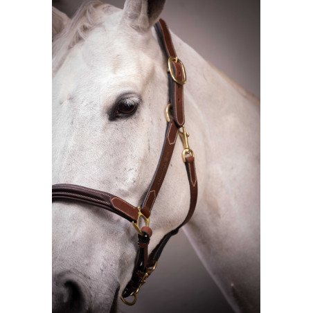 Licol cuir 3 mousquetons Paddock Sports