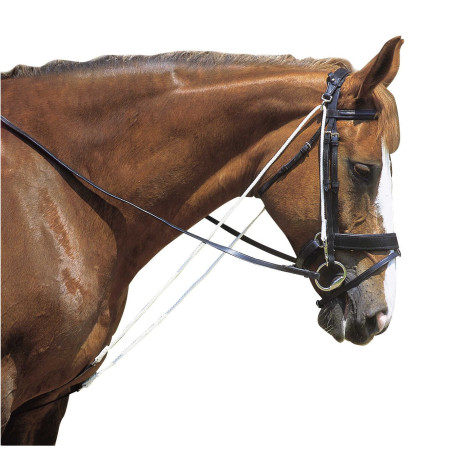 Chambon Excelsior à poulies