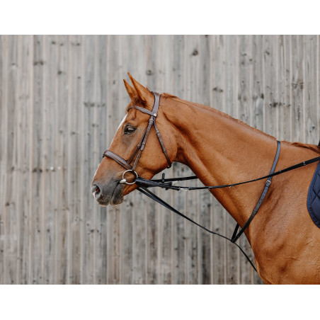 Enrênement Norton Pro Thiedeman