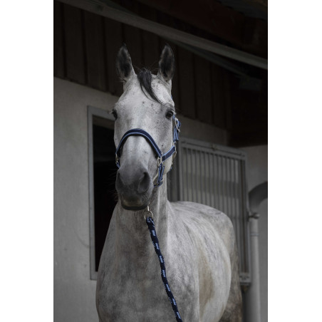 Licol + longe Equitheme Satiné