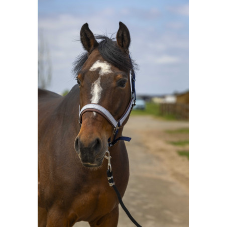 Licol Equithème Nylon Check