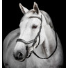 Bridon Horseware Micklem Diamante Competition - Noir