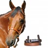 Bride d'entraînement Canter - Marron