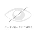 Bride HEADSET Eric Le Tixerant