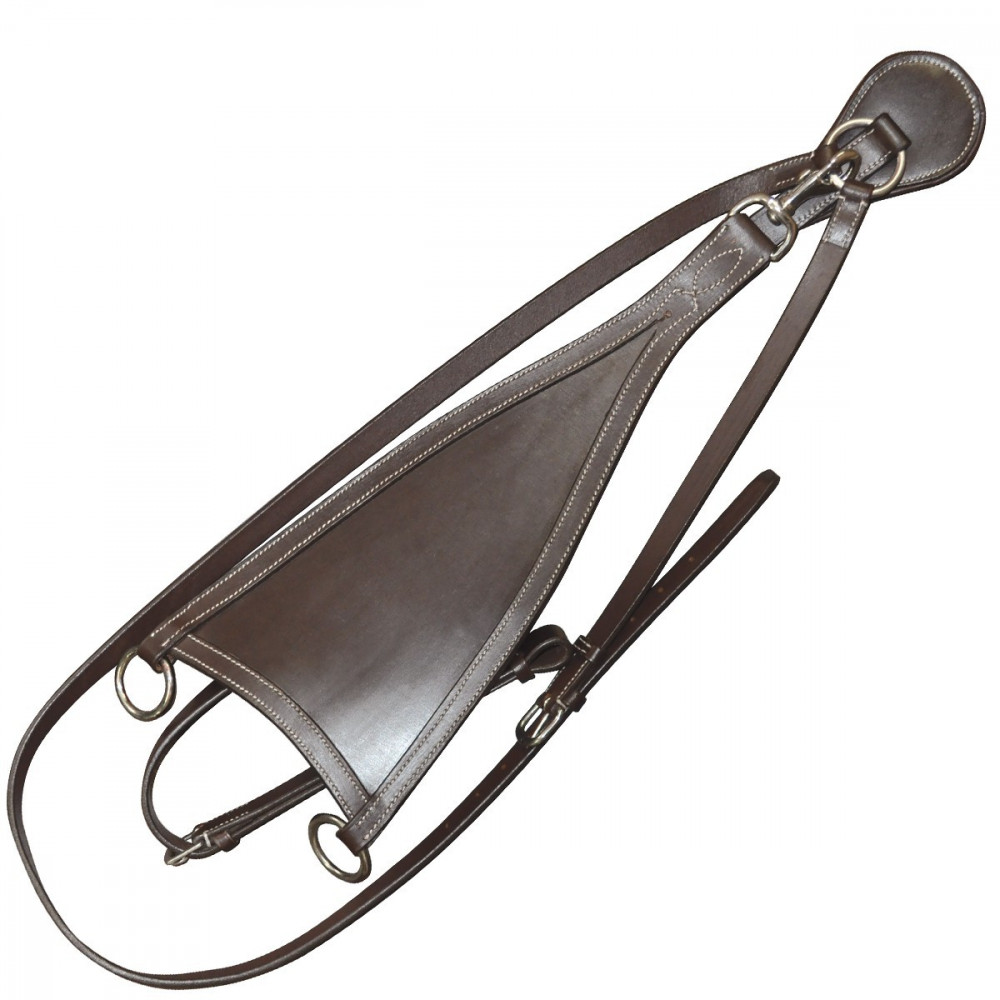 Martingale D’entraînement Pour Cheval En Cuir Marron – Occasion