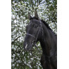 Bridon Riding World Muserolle française - Noir