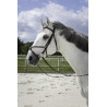 Bridon Riding World Muserolle croisée - Noir