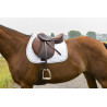 Tapis Riding World Girly - Bordeaux
