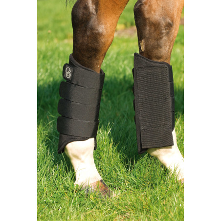 Guetres Posterieures Norton 1680D