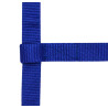 Licol réglable mini - Bleu roi
