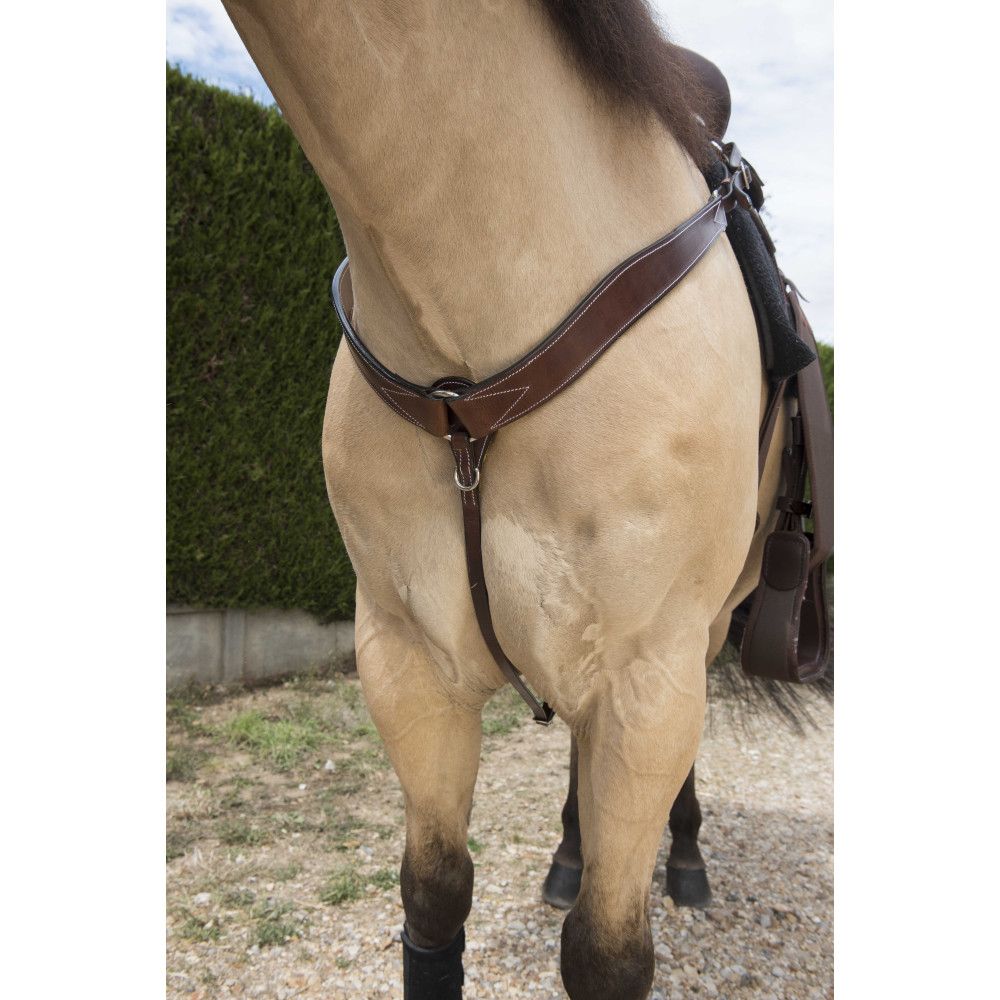 Collier en cuir bombé pour chien