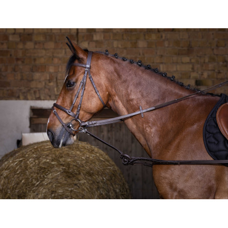 Enrênement caoutchouc Riding World