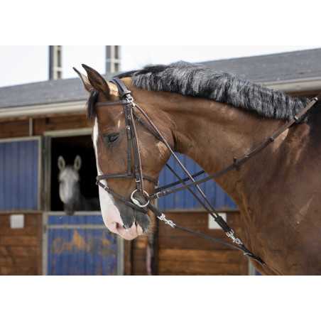 Gogue à poulies Riding World