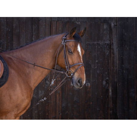 Gogue à poulies Riding World