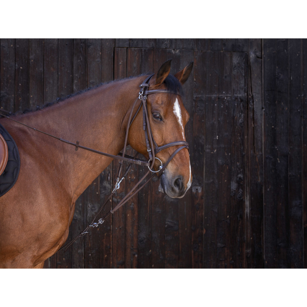 Gogue à poulies Norton Pro pour Cheval