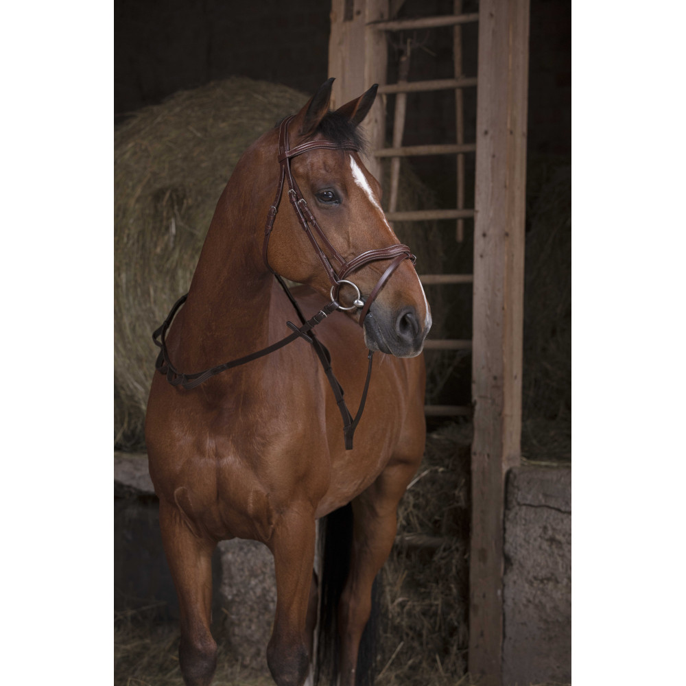 Rênes De Tirage Pour Cheval - Neuves - Générique