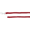 Longe d'attache Norton 2,5 m - Rouge