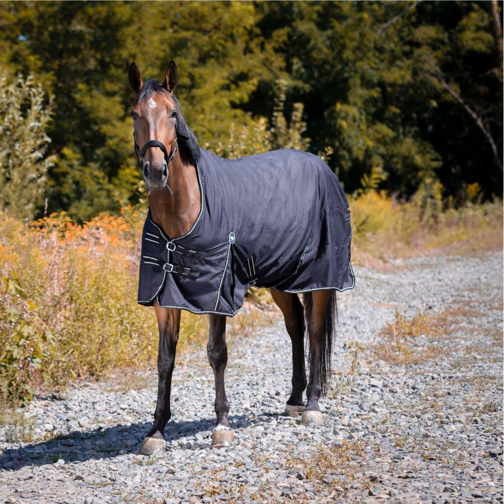 Sac De Soins LeMieux Imperméable – Noir Et Rouge, Pour Cheval/poney